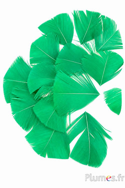 Blütenblätter in Tropfenform aus Federn - 6-8 x 3-4 cm - grün